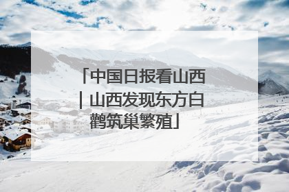 中国日报看山西｜山西发现东方白鹳筑巢繁殖
